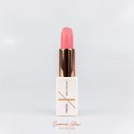 Pastel X Arzu Sabancı Parlak Bitişli Nemlendirici Lipstick Ruj 25