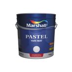 Pastel Yarı Mat Sentetik Boya 2,5 Lt /3,5 Kg