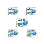 Pasthill Mentol Okaliptus 5x24 Pastil