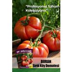 Patika Botanik 10 Adet Buran Domates Tohumu