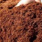 Patika Botanik 10 lt Cocopeat Hindistan Cevizi Torfu