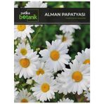 Patika Botanik 100 Adet Alman Papatya Tohumu