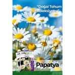 Patika Botanik 100 Adet Kır Papatyası / Tıbbi Aromatik Papatya Tohumu (Chamomillae Romanae)
