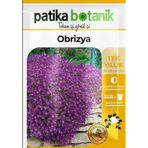 Patika Botanik 100 Adet Obrizya Çiçek Tohumu Aubrieta