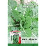 Patika Botanik 1000 Adet Kara (Yaprak) Lahana Tohumu - 1 Paket