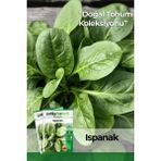 Patika Botanik 200 Adet Yerli Ata Yerli Ispanak Tohumu (Geniş Yaprak)
