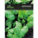 Patika Botanik-250 Adet Yerli Ispanak Tohumu (Geniş Yaprak)