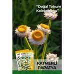 Patika Botanik 30 Adet Katmerli Papatya Çiçek Tohumu