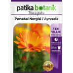 Patika Botanik 30 Adet Portakal Nergisi - Aynı Sefa Çiçek Tohumu