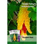 Patika Botanik 5 Adet Kudret Narı Tohumu - 1 Paket
