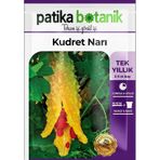 Patika Botanik 5 Adet Kudret Narı Tohumu