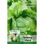 Patika Botanik 750 Adet Yerli Ata Iceberg, Göbek Marul Tohumu - 1 Paket