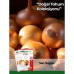 Patika Botanik Sarı Soğan Tohumu 500 Adet Türkiye Menşeli Doğal Tohum Özellikleri - 1 Paket