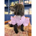 Patilinka Fırfırlı Poplin Köpek Gömleği (Lila)
