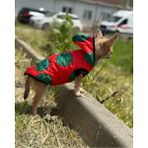 Patilinka Kedi Köpek Kışlık Kıyafet – Mutlu Şişme Yelek Mont - Turuncu - 2XL