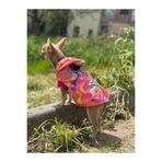 PATİLİNKA Kedi - Köpek Su Geçirmez Yelek Yağmurluk - Kıyafet - Mont - Sweat