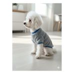 PATİLİNKA Kedi - Köpek Welsoft Yumuşak Peluş Sweat - Kıyafeti- Mont - Yelek