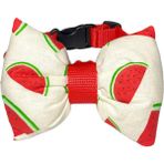 Patimio Ayarlanabilir Kedi Köpek Papyonu Watermelon - S - Beyaz