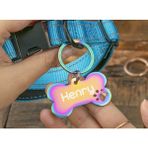 Patimio Isimli Rainbow Çelik Kedi Köpek Künyesi 316L Paslanmaz ve Dayanıklı Tasarım