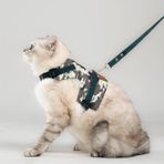 Patipatron Kaçış Önleyici Kedi Gezdirme Tasması Ve Küçük Irk Köpek Gezdirme Tasması (Kamuflaj, S)