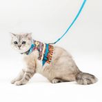 Patipatron Kaçış Önleyici Kedi Gezdirme Tasması Ve Küçük Irk Köpek Gezdirme Tasması (Kilim Desen Mavi, M)