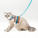 Patipatron Kaçış Önleyici Kedi Gezdirme Tasması Ve Küçük Irk Köpek Gezdirme Tasması (Kilim Desen Mavi, XS)