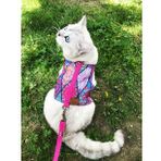 Patipatron Kaçış Önleyici Kedi Gezdirme Tasması ve Küçük Irk Köpek Gezdirme Tasması