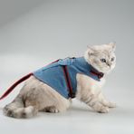 Patipatron Kaçış Önleyici Kot Kedi Gezdirme Tasması Ve Küçük Irk Köpek Gezdirme Tasması Airtag Cepli (M)