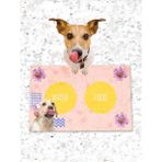 PatiPeti Köpek Çiçek Köpek Kedi Mama ve Eğitim Altlığı