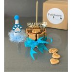 Patisserie Store Kediler Için Doğum Günü Seti Mavi Doğum Günü Pastası Tasarım Pleksi Doğum Günü Şapkası