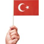 Patladı Gitti 10 Adet Çubuklu Kağıt Türk Bayrağı Çıtalı Sopalı Saplı Ay Yıldız Baskılı Bayrak 20X12 cm - Renkli - 10AYYILDIZ