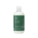 Paul Mitchell Tea Tree Special Canlandırıcı 300 ml Saç Bakım Kremi