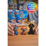 Paw Patrol Sürpriz Paket Mini Figür Oyuncak Lisanslı Parti Hediyelik Çocuklar İçin - 1 ADET