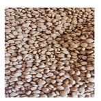 Paw Paw kuzu etli 5 kg dolumu kuzulu Köpek maması