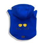 Paw Secret Köpek & Kedi Kıyafeti Sweatshirt Hoodie Köpek Elbisesi Mr.Cool Baskılı (Mavi, Large)