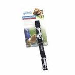 Pawise Dog Comp. Control L 2.5 cm x 72" Siyah Köpek Tasması