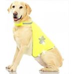 Pawise Fosforlu Köpek Yeleği Medium 42*66 cm