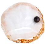 Pawise Happy Go Around 60 cm Kedi Oyuncağı