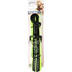 Pawise Reflektörlü 15 mm 30x45 cm Yeşil Köpek Gezdirme Tasması