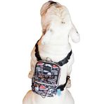 Pawlook Design, Köpek Sırt Çantası – Su Geçirmez, Göğüs Tasması Fonksiyonlu, Ayarlanabilir, Skull Çantalı Göğüs Tasması Large
