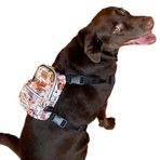 Pawlook Design,Çantalı Göğüs Tasması, Köpek Sırt Çantası – 2’si 1 Arada Göğüs Tasması Fonksiyonlu, Ayarlanabilir, Küçük & Büyük Irklar için,Paws, Small