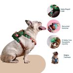 Pawlook Gimme Five Mavi Çantalı Göğüs Tasması, Köpek Sırt Çantası – Göğüs Tasması İşlevli, Geri Dönüştürülmüş Malzeme, Ayarlanabilir, Çok Cepli, 5 Renk Seçenekli, Small Recycled