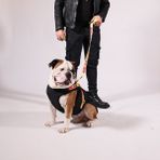 Pawlook Göğüs Tasmalı Siyah Köpek Montu - XS