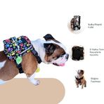Pawlook Street Smart Köpek Sırt Çantası – Su Geçirmez, Göğüs Tasması Fonksiyonlu, Ayarlanabilir Renkli Pati Çantalı Göğüs Tasması Large