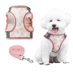 PawSailor Çekme önleyici köpek koşum takımı ve tasma seti, nefes alır, ayarlanabilir, çiçek baskılı, yumuşak dolgulu yelek, orta boy köpekler için, mercan, L
