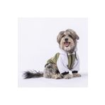 Pawstar Açık Yeşil PS Desing Kedi Köpek Ceketi Kedi Köpek Kıyafeti Kedi Köpek Elbisesi Açık Yeşil 2XL