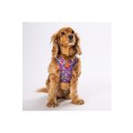 Pawstar Air-Mesh Hearts Köpek Göğüs Tasması