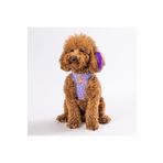 Pawstar Air-Mesh Ice Cream Köpek Göğüs Tasması (XL)