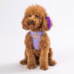 Pawstar Air-Mesh Ice Cream Köpek Göğüs Tasması (XS)