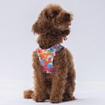 Pawstar Air-Mesh Mosaic Köpek Göğüs Tasması (S)